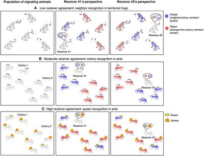 What Drives Diversity in Social Recognition Mechanisms?